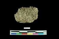 藏品(方解石晶簇)的圖片